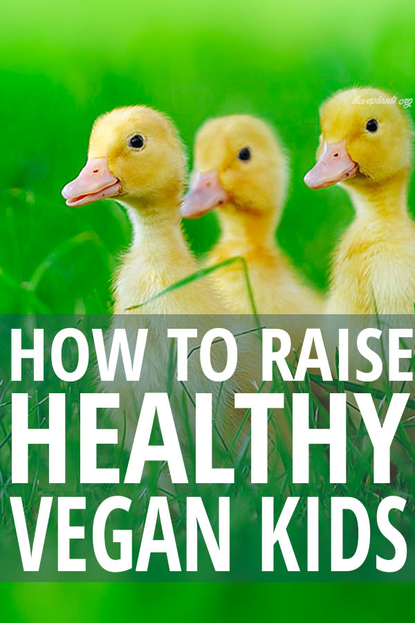 How to raise your children on a plant-based diet and teach them sacrifice actually gives you a super power! #vegankids #plantbasedkids #plantbaseddiet