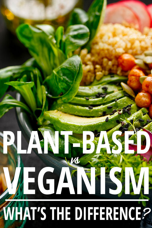 plant-based-vs-veganism-pin-2 - i love plants