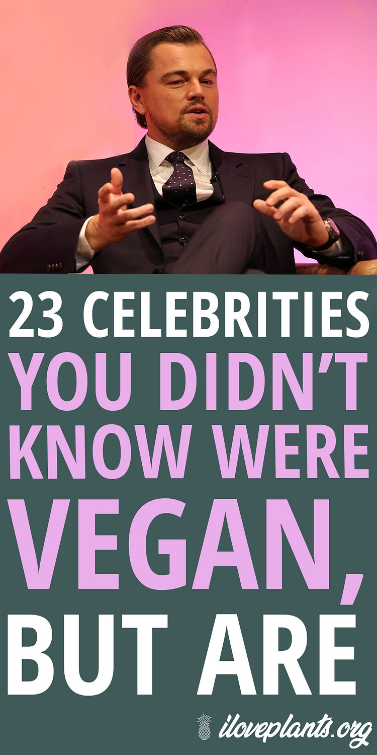 These men and women celebrities are vegan! Click for vegan celebrities quotes. These vegan celebrities are changing the world #vegan #plantbased