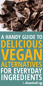 How did I switch out my eggs, dairy and meat? What’s healthy and what isn’t? Read about all of the tasty alternatives.