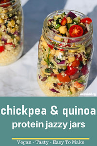 Chickpea Quinoa Protein Jazzy Jars Pin 2 I Love Plants
