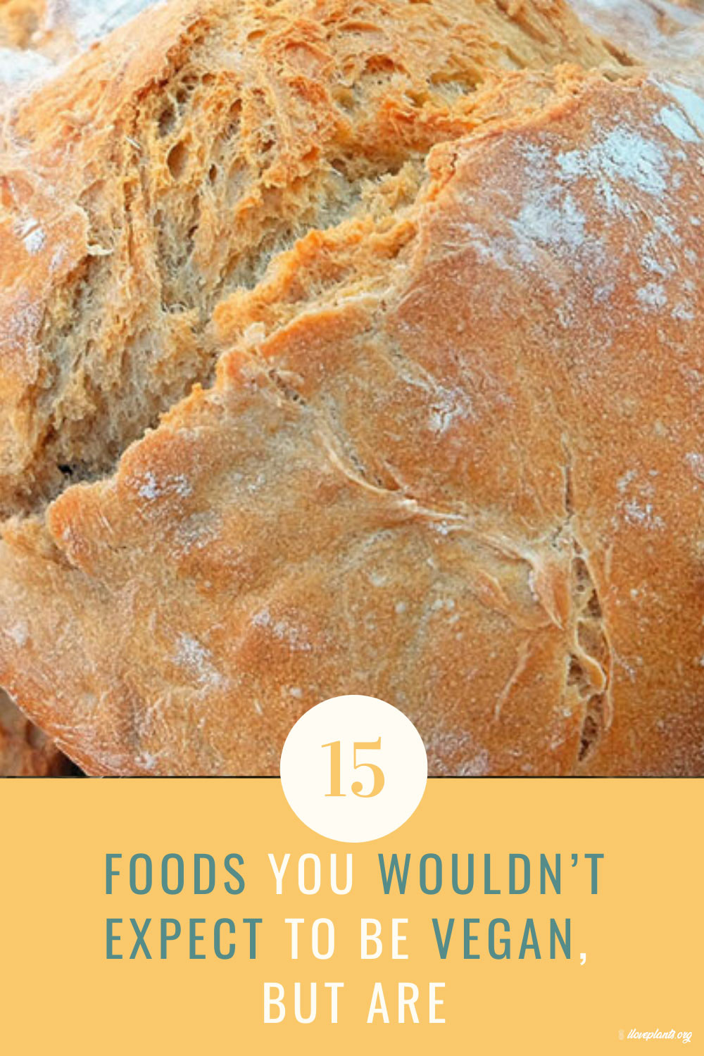 15-Foods-You-Wouldnt-Expect-To-Be-Vegan-But-Are-pin-8 - i love plants