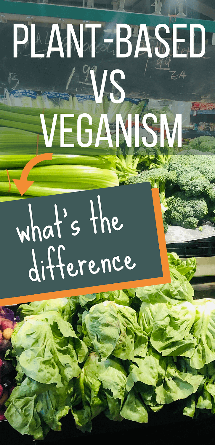 Plant based diet vs vegan explained. What does plant based mean? What does vegan mean? The plant based meaning explained #plantbaseddiet plantbased