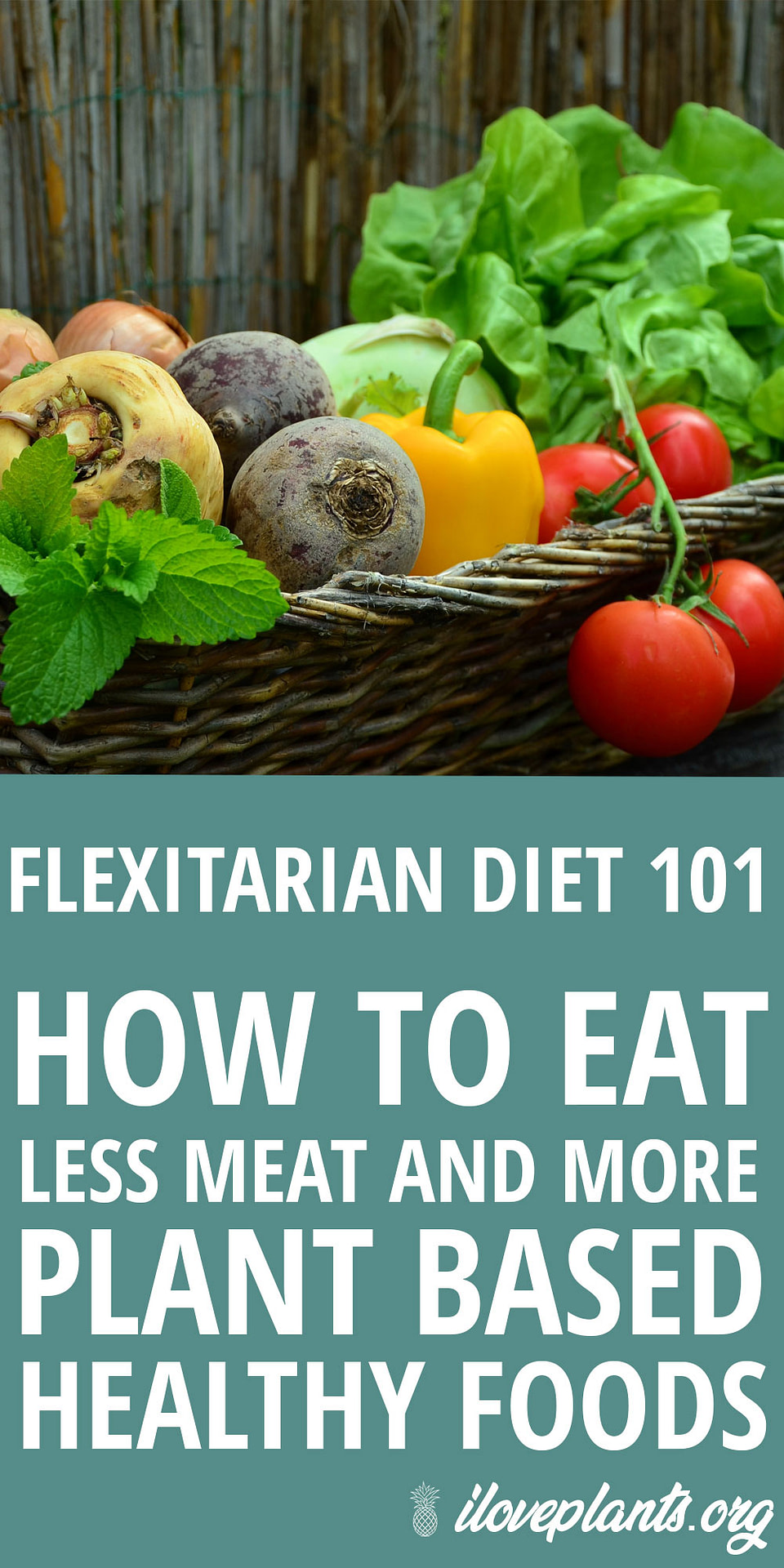 TheFlexitarianDiet101HowToEatLessMeatAndMorePlantBased