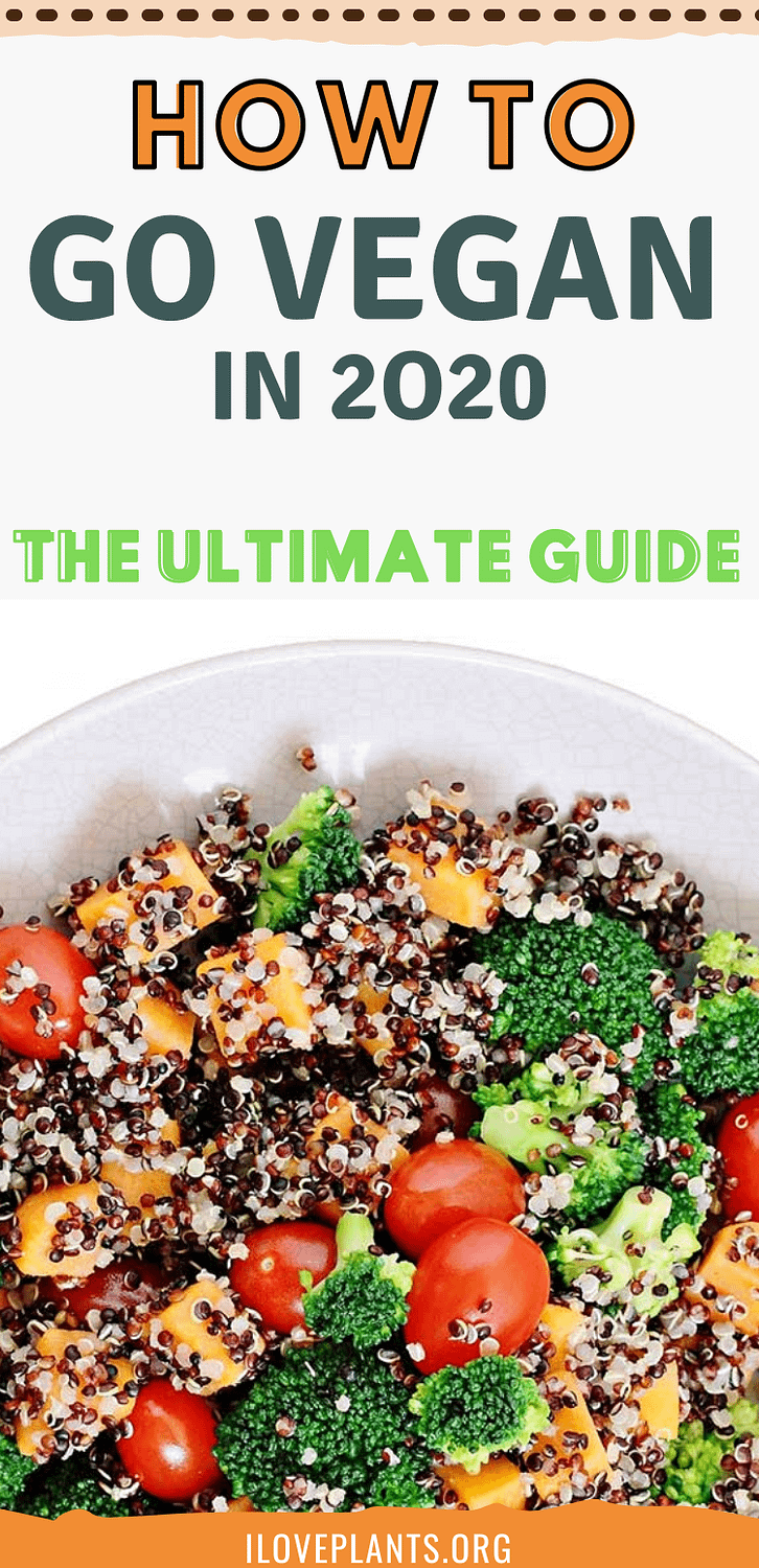 How To Go Vegan In 2020 – The Ultimate Guide For Beginners - I Love Plants