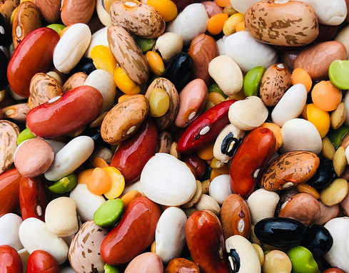 25 Totally Awesome Sources Of Plant-Based Protein